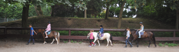 reiten